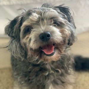 Meet your Posher, Gisselle